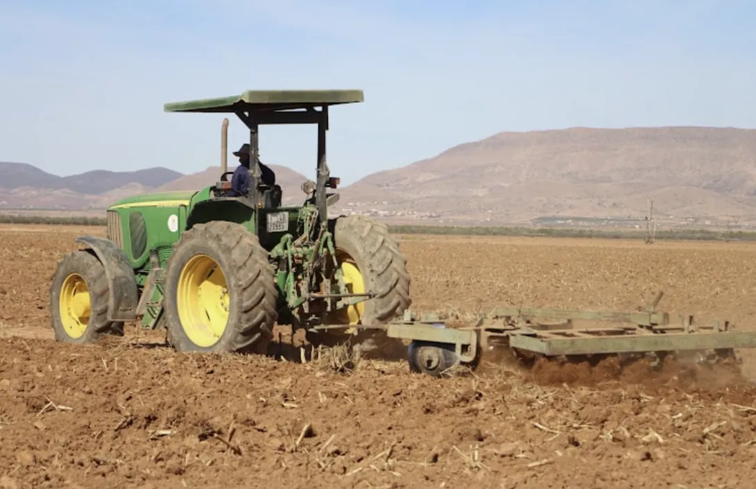 بفضل انتعاش قطاعي الفلاحة والبناء.. نمو الاقتصاد المغربي يرتفع إلى 4,8%