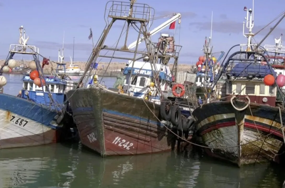 ميناء طانطان يسجل نمواً قياسياً بـ81% في كميات المصطادات و39% في قيمتها