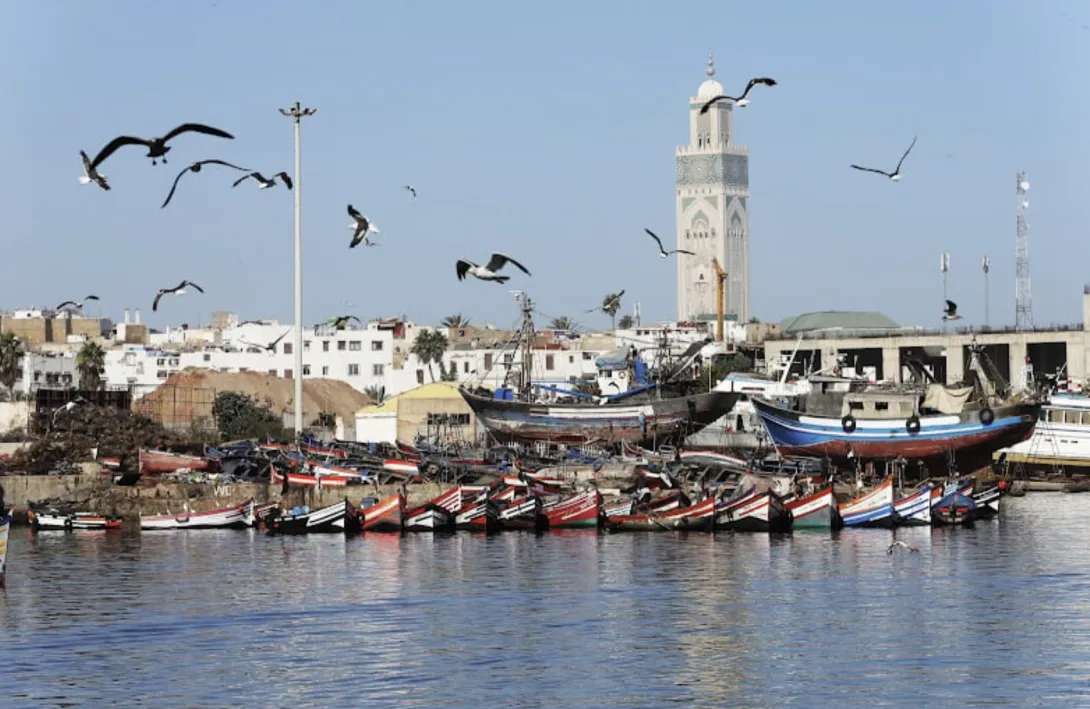جاذبية قطاع الصيد البحري المغربي تجلب إشادات دولية لتدبير القطاع