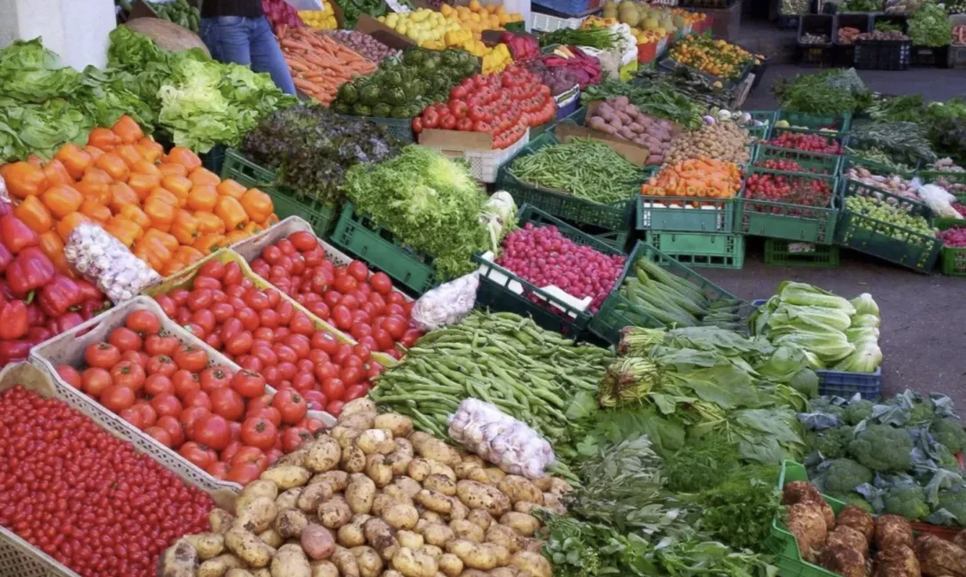 الدار البيضاء تستعد لإطلاق أضخم مجمع وطني لتسويق المنتجات الفلاحية والغذائية والبحرية