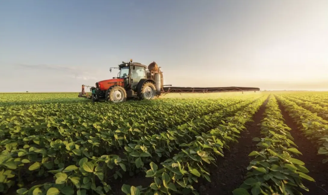 بين التخوّف والتفاؤل.. الفلاحون المغاربة يترقّبون الأمطار من أجل موسم فلاحي واعد