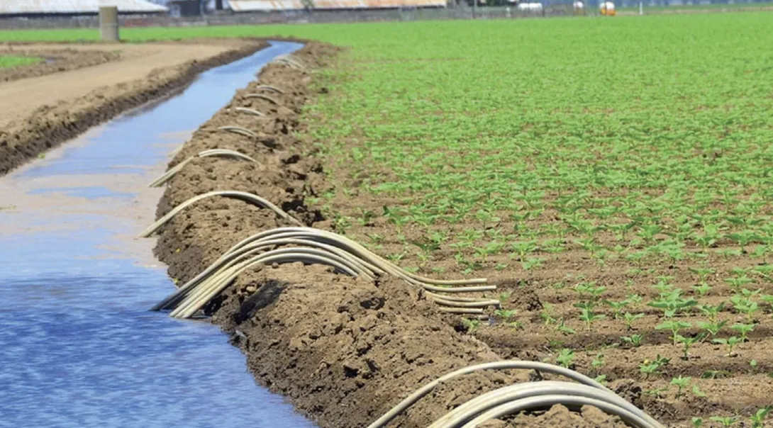 تعديلات برلمانية تقترح رفع الضريبة على المنتجات الفاخرة وفرض مساهمة على الزراعات المستنزفة للمياه