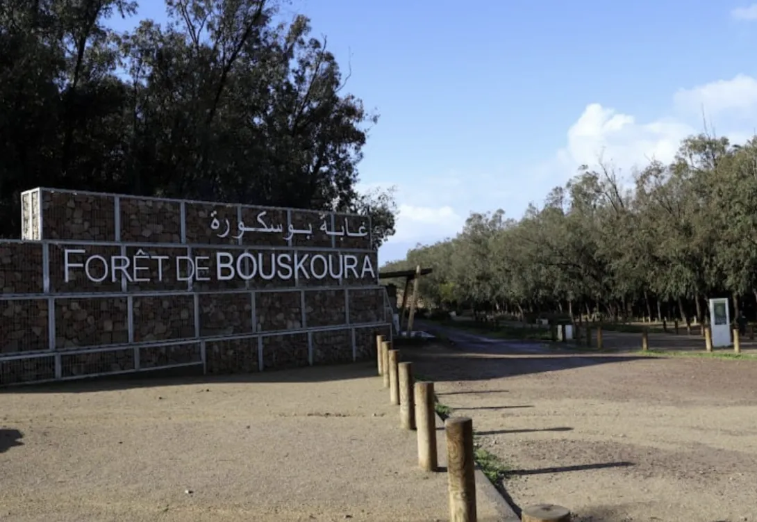 وضع نظام مراقبة متطور لتعزيز أمن وحماية غابة بوسكورة-مرشيش من التخريب والحرائق