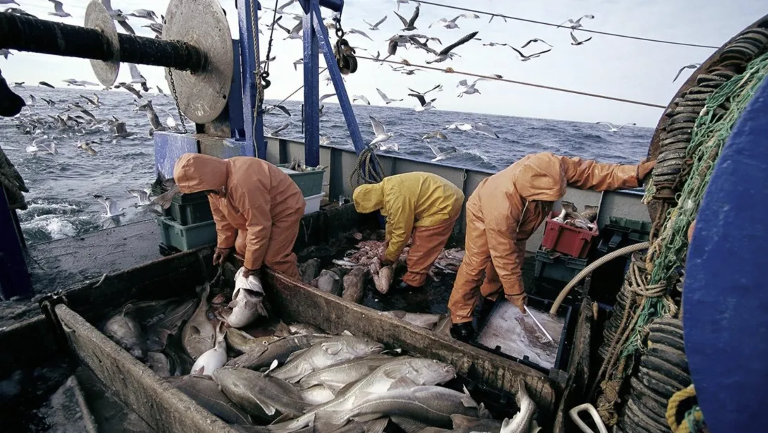 الاتحاد الأوروبي يوافق رسميا على استئناف مفاوضات اتفاق الصيد البحري مع المغرب