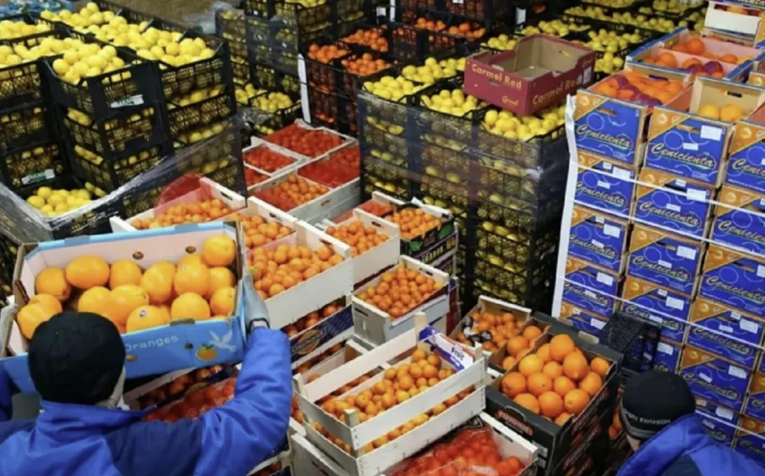 نحو 115 مليون دولار.. تقدم قوي في التبادل الغذائي بين المغرب وتونس خلال 2025