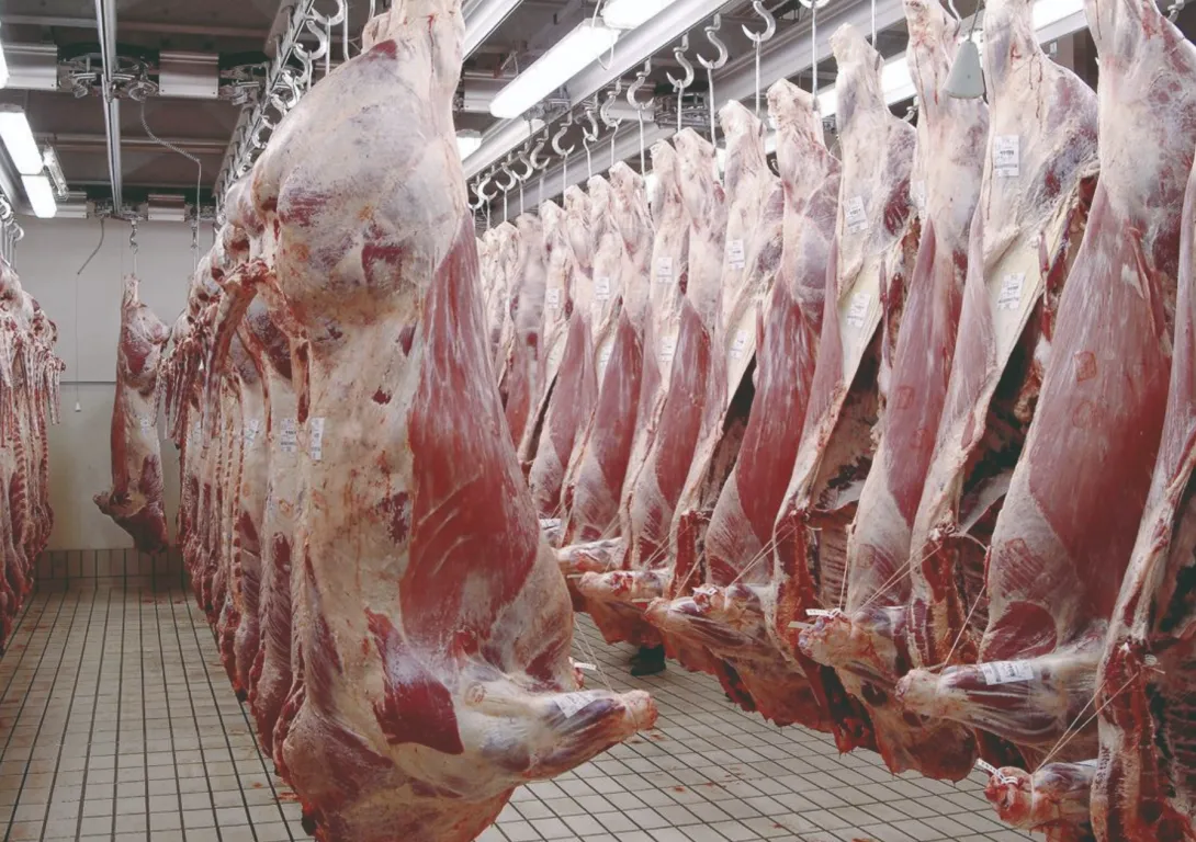 أسعار اللحوم الحمراء تثير التساؤلات مع اقتراب شهر رمضان المبارك