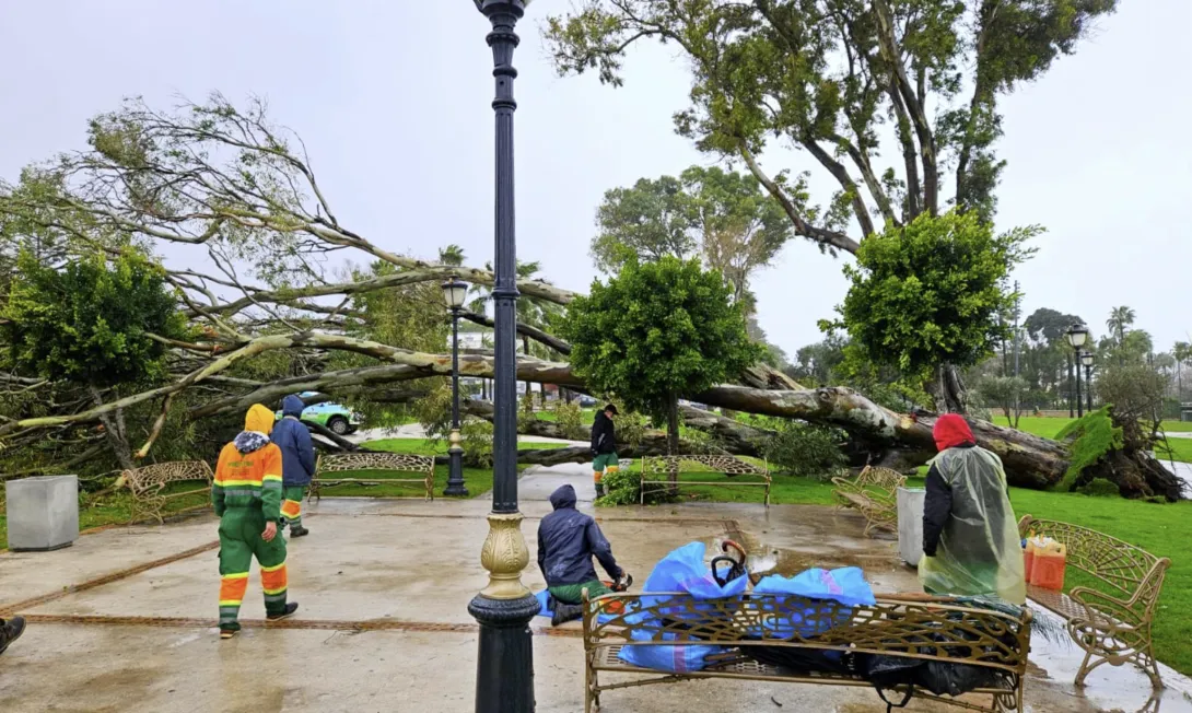 رياح قوية تخلف خسائر مادية دون إصابات بمدينة طنجة