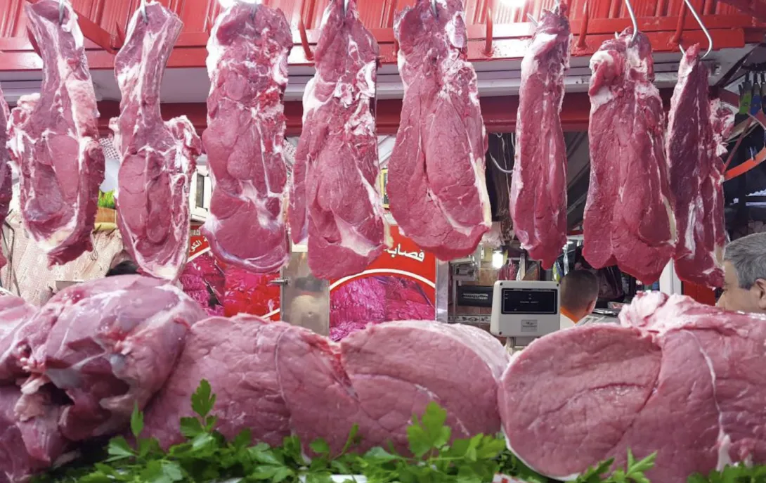إعفاءات استيراد الماشية لا تخفض الأسعار.. اللحوم الحمراء تواصل الارتفاع