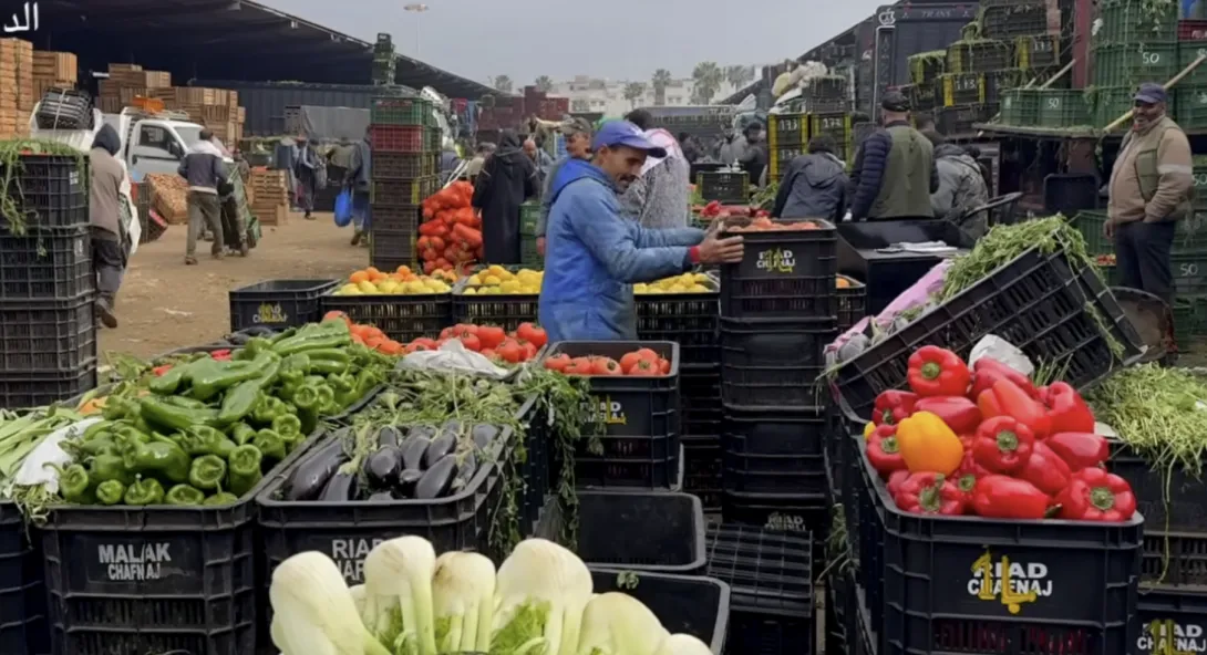 أسعار الخضر تشتعل من جديد.. والطماطم تتصدر موجة الغلاء
