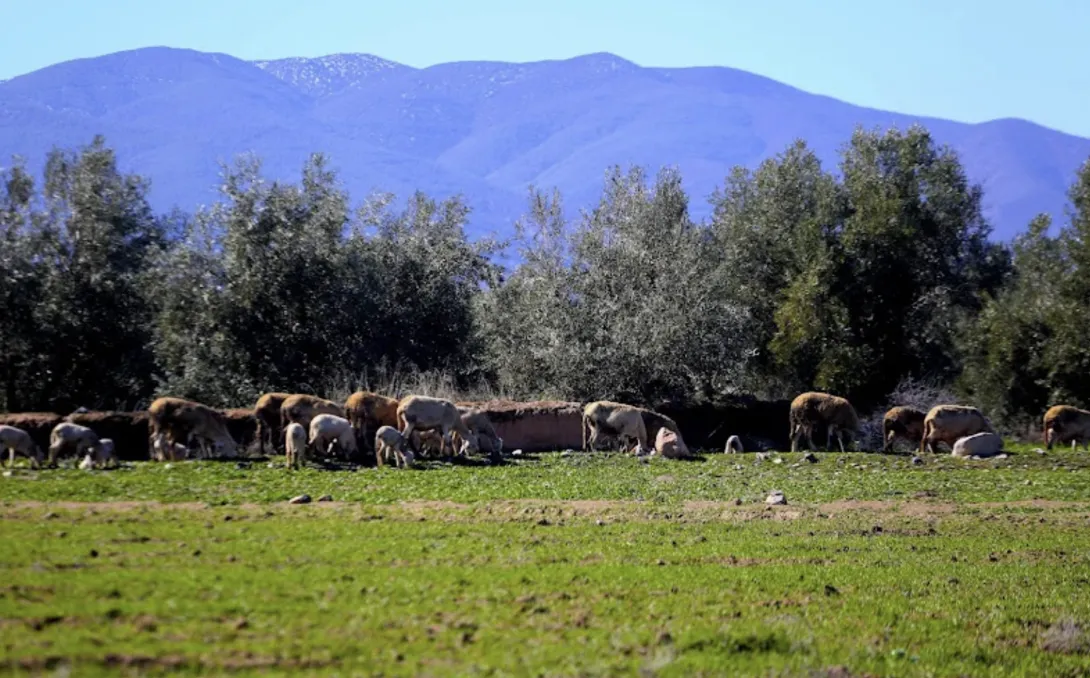 تحسن تدريجي في الحالة الجوية بالمغرب ابتداء من الثلاثاء