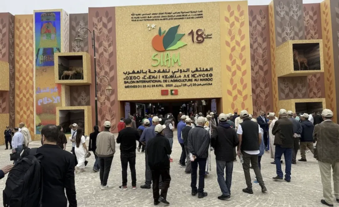 مكناس تتحول إلى واجهة للفلاحة المغربية في “سيام 2026”