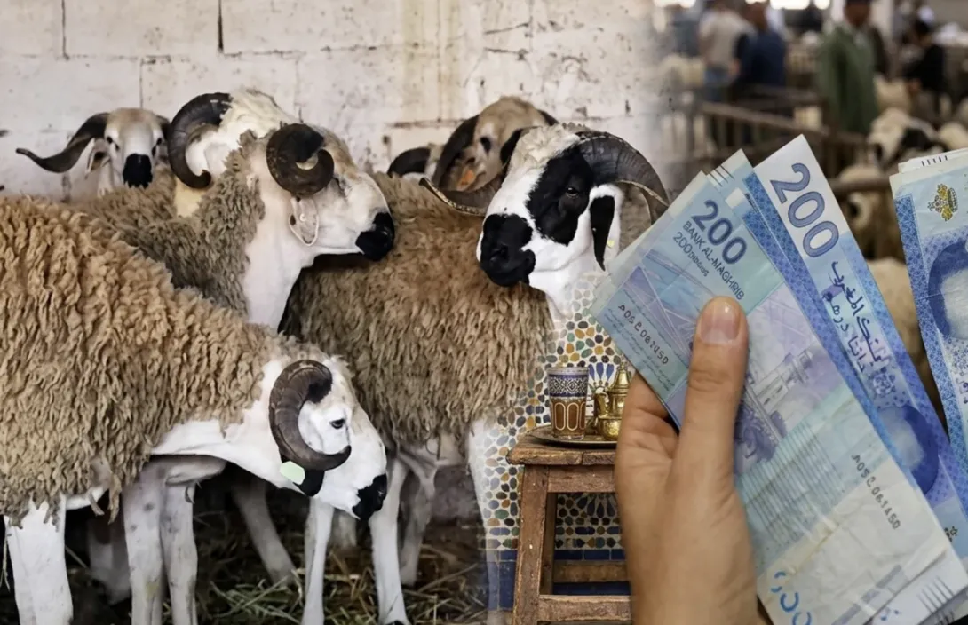 وزارة المالية تؤكد صرف أجور موظفي القطاع العام مبكراً قبل عيد الأضحى